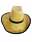 00160353: Wireless bark cowboy hat 