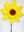 09001719: Moulinet Fleurs Tournesol 