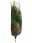 09133102: Christmas Tree Fir od Culture Abies Nordmann 100/150cm x20 1pc 