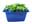 09133950: Green Shiso Cress Netherlands 1pot 