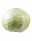 09133971: White Cabbage France x6 1pc 