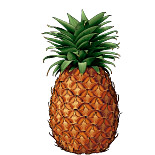 ananas.jpg