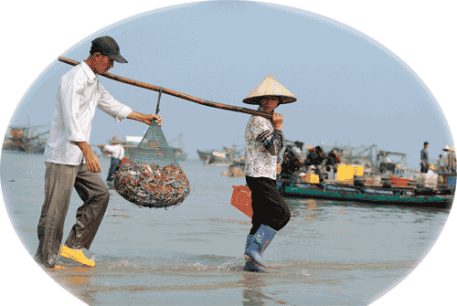 Sea Food Delivery