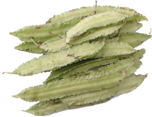 goa-winged-beans.jpg