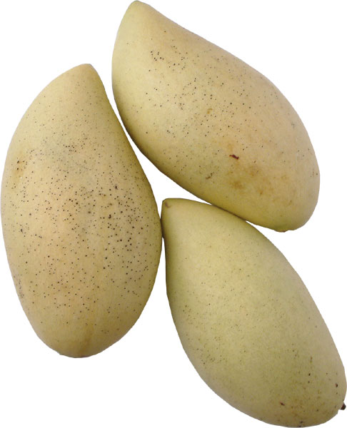 mango-ripe-yellow.jpg