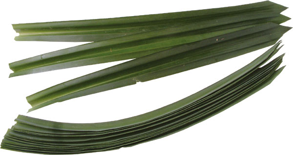 pandan-leaves.jpg