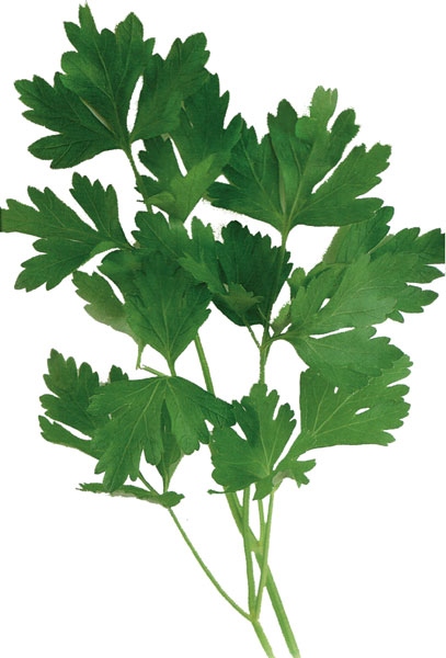 parsley-thai.jpg