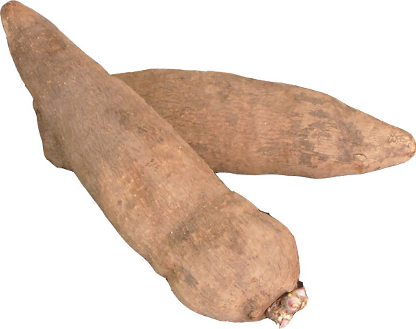 yam-ghana.jpg